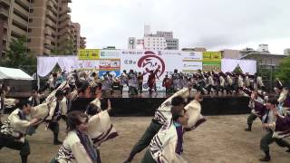 うらじゃ2014　下石井公園　岡山うらじゃ連　蓮雫　１日目