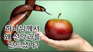 [창 2:8-9]하나님께서 왜 선악과를 만드셨나? 창세기 2장 8-9절 강해