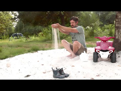 What kind of plants grow in sand?