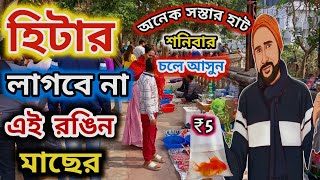 এই প্রথম সুন্দর বনের aquarium গাছ এল এই হাটে 😲 aquarium fish market  Naihati pet market  fish market