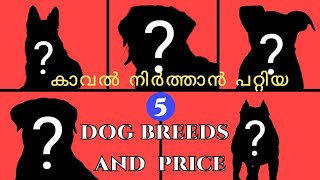 വീട്ടിൽ വളർത്താൻ പറ്റിയ 5 DoG അതിന്റെ വിലയും??? 💥💥💥