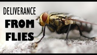 Deliverance From Flies | John Eckhardt's Prayers That Rout Demons