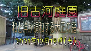 旧古河庭園　和と洋が調和する大正の庭　2021年12月18日（土）