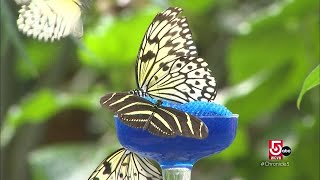 The interesting psychology and technology behind color