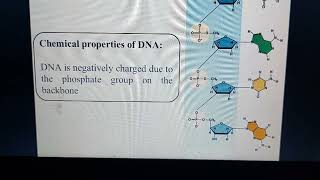 سكشن 2 DNA الجزء الأول