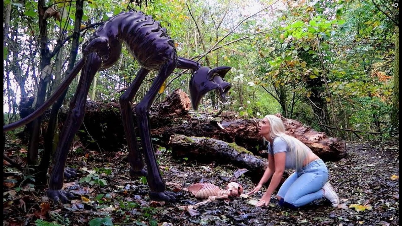 Scary Catnap Attacks In The Forest Youtube