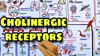 Cholinergic receptors | Muscarinic and Nicotinic receptors - Pharmacology