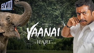 Breaking : Surya - Hari film titled Yaanai ? | Clarifications