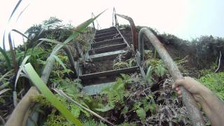 Aiea Ridge to Moanalua Saddle (GoPro POV)