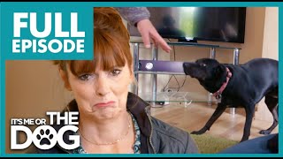 Nervous Dog is Terrified of her Own Owners! | Full Episode | It's Me or the Dog