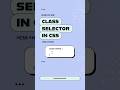 CSS Class Selectors Explained in Under a Minute