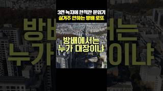 3면 녹지에 한적한 분위기 실거주 안하는 방배 로또