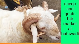 @AGRIANIMALS  sheep and goats fair market at batawadi Tuesday tumakuru part 2