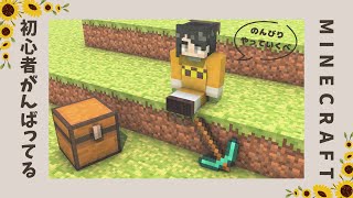 【マイクラ】陽向屋を作りたい！～雑談しながらチェスト整理整頓編～【#個人Vtuber】