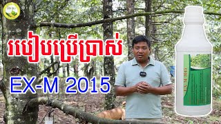 របៀបប្រើថ្នាំទឹកEX-M2015ការពារកំចាត់និងព្យាបាលជម្ងឺphytophthora -How to Fix phytophthora By EX-M2015