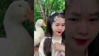 Sâu TV nổi tiếng ngờ quay video với chú vịt Bimbim #shorts