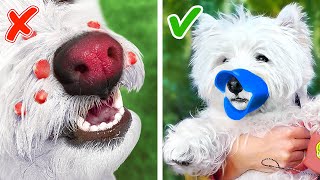 We Tested Super Cool And Awesome Pet Gadgets 🐾🤖 Paw-Some Stuff For Pet Lovers