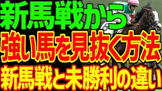 【新馬で強い馬の見分け方】クラシックへ乗る馬を新馬戦から見分ける方法を考察…新馬戦を勝ちやすい性質の馬に騙されるな！未勝利から出世する馬と何が違うのか？【私の競馬論】【競馬ゆっくり】