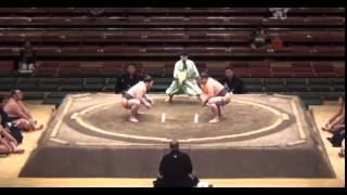 Mitohikari vs Daishodo Day 6 Sumo Natsu Basho May 2014