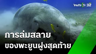 ขาดแคลนหญ้าทะเลสู่การล่มสลายของพะยูนฝูงสุดท้าย : ภาวะโลกร้อง  | 21 ธ.ค. 67 | ไทยรัฐเจาะประเด็น