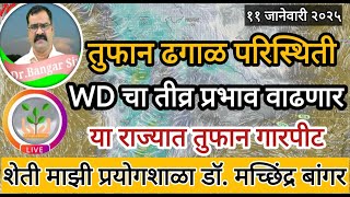 आता वातावरण बदलणार | WD तीव्र होणार | राज्यात तुफान ढगाळ परिस्थिती #डॉ_मच्छिंद्र_बांगर