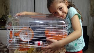 İşte  Evimizin Yeni Üyeleri Hamster larımız | Eğlenceli Çocuk su
