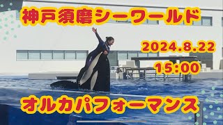 神戸須磨シーワールド　オルカパフォーマンス　2024.8.22 15:00