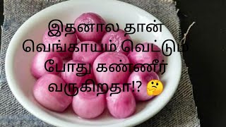 இதனால தான் வெங்காயம் வெட்டும் போது கண்ணீர் வருகிறதா?🤔 | Why do onions make you cry \u0026 How to stop it?