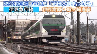 特急「下田水仙まつり号」E257系5000番OM-92