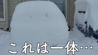 一晩で50cm以上の積雪でみんな家から出られない帯広の朝