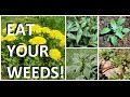 5 Weeds in Every Garden That are Actually Edible & Delicious!