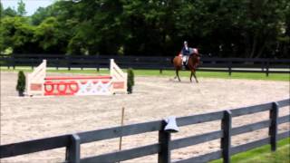 3ft Schooling Round @ Hunter Farms