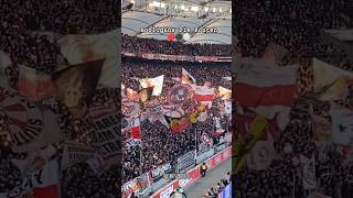 Stuttgart Fans 🔴⚫⚪ #shorts #football #hooliganism #stuttgart #bundesliga