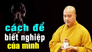 Thầy Chỉ Cách nhận biết nghiệp của mình để chuyển hóa 