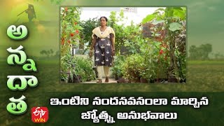 ఇంటిని నందనవనంలా మార్చిన జ్యోత్స్న అనుభవాలు | Home gardening by jyotsna of Guntur | ETV