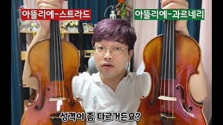 바이올린 리뷰 │ 베네치아 아뜰리에 [아가페뮤직] 300만원대 가성비 악기