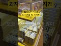 일본n차 여행러가 여행가면 꼭 사와야 하는 과자 리스트 공개 일본인기과자쇼핑리스트 오사카교토여행 간사이국제공항 일본면세점로이스감자칩도쿄바나나히요코만주 shorts