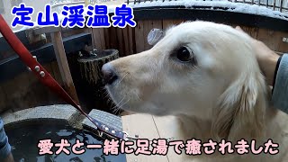 【愛犬と北海道へ行く④】定山渓温泉の雪も嬉しかったゴールデンレトリバーのはっち