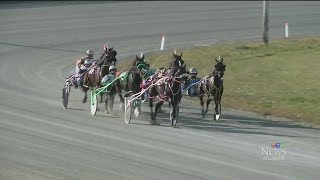 Several injured after horses crash during race in N.S.