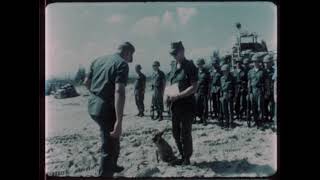 USMC Dog PFC Ho Chi Minh, Promoted to Lance Corporal