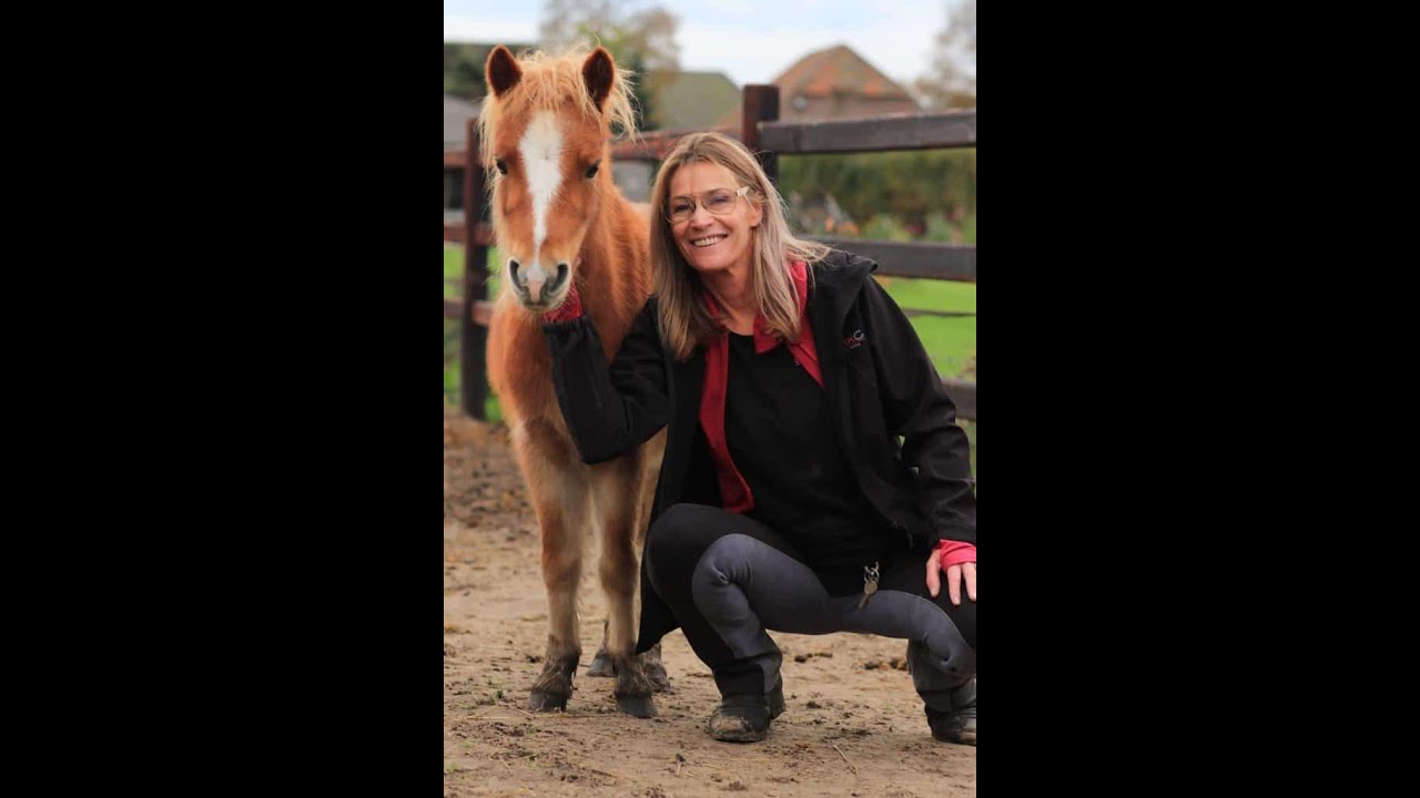 3 Bijzondere Gewone Monique Van Adhd Tot Paardencoach En Inspirator