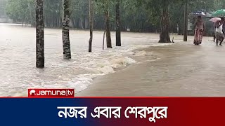 ঢলের পানি ভাসিয়ে দিলো শেরপুরের বিস্তীর্ণ জনপদ | Sherpur Flood | Natural Disaster | Jamuna TV