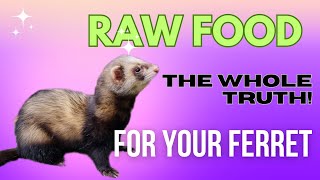 Raw Food Diets for FERRETS - The Whole TRUTH!