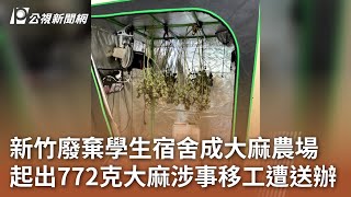 新竹廢棄學生宿舍成大麻農場 起出772克大麻涉事移工遭送辦｜20231001 公視中晝新聞