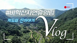 [산림관광 코디네이터단] 포항 비학산자연휴양림, 비학산자연휴양림 차드의 산이야기 V-log