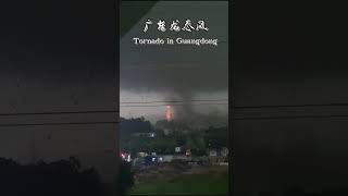 Tornado in Guangdong in April 24, 2024 广东四月龙卷风 | 朝花夕拾-Official 20240429 #龙卷风