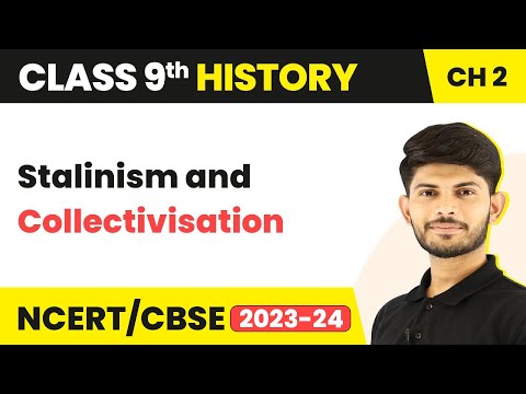 What is Stalin collectivisation?
