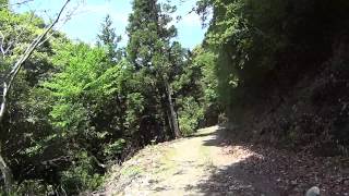 三重県　林道　板谷山線　ヤマハトリッカー