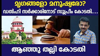 മൃഗങ്ങളോ മനുഷ്യരോ?  ഡൽഹി സർക്കാരിനോട് സുപ്രീം കോടതി.... ആഞ്ഞു തല്ലി കോടതി