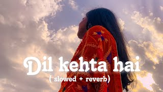 Dil kehta hai -(Slowed+Reverb)🥀Use Headphones Lofi | lofisong |#trending #slowedandreverb #lofi